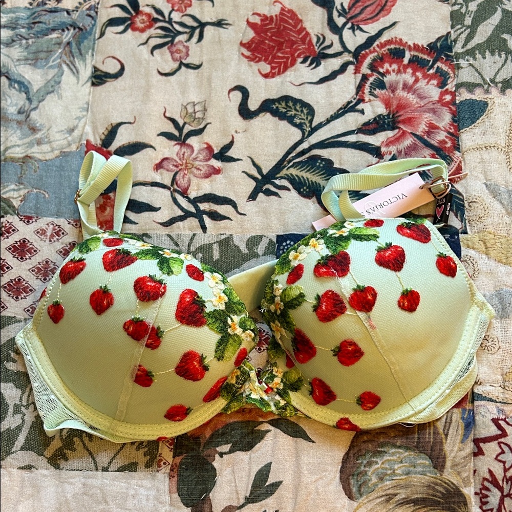 Victoria's Secret Dream Angel Push-up  Bra with Strawberry Embroidery NWT 32B